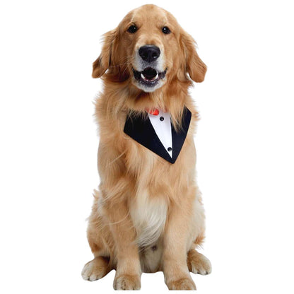 Black Tux Bandana – Stylish & Elegant Pet Accessory