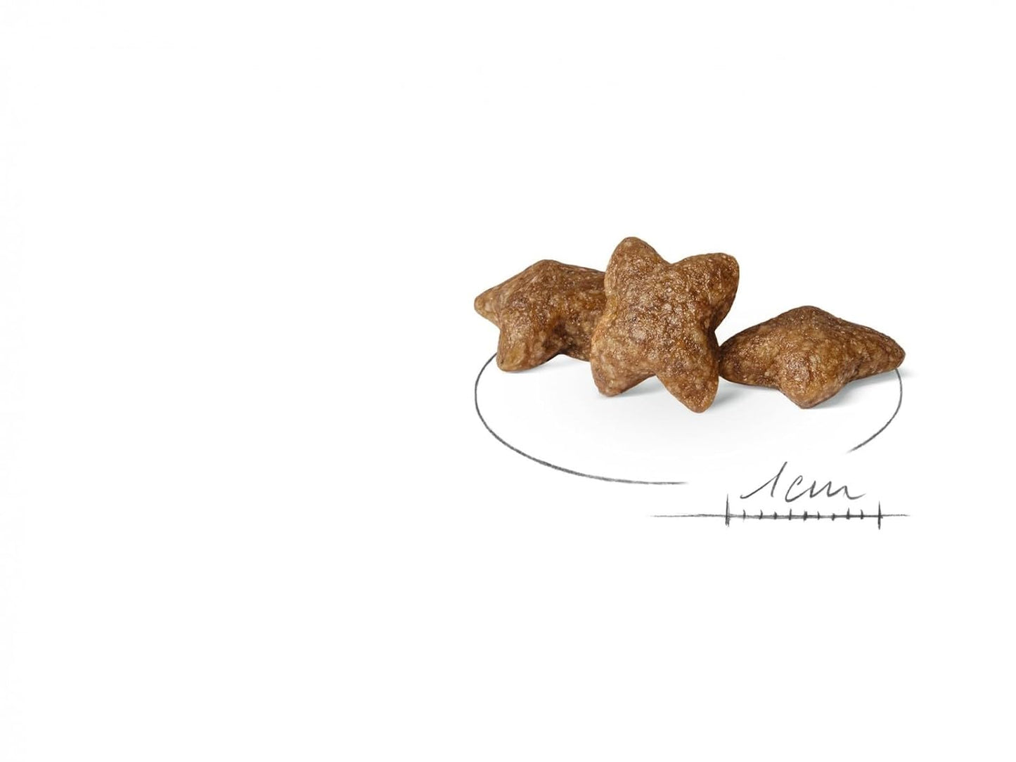 Royal Canin Mini Adult Dog Dry Food | Digestive Health & Daily Nutrition for Small Breed Dogs