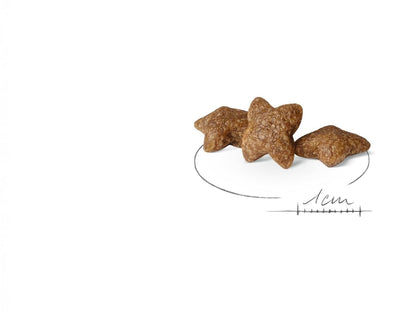 Royal Canin Mini Adult Dog Dry Food | Digestive Health & Daily Nutrition for Small Breed Dogs