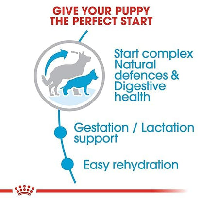 Royal Canin Maxi Starter Mother & Baby Dog Food | Gestation & Digestive Care