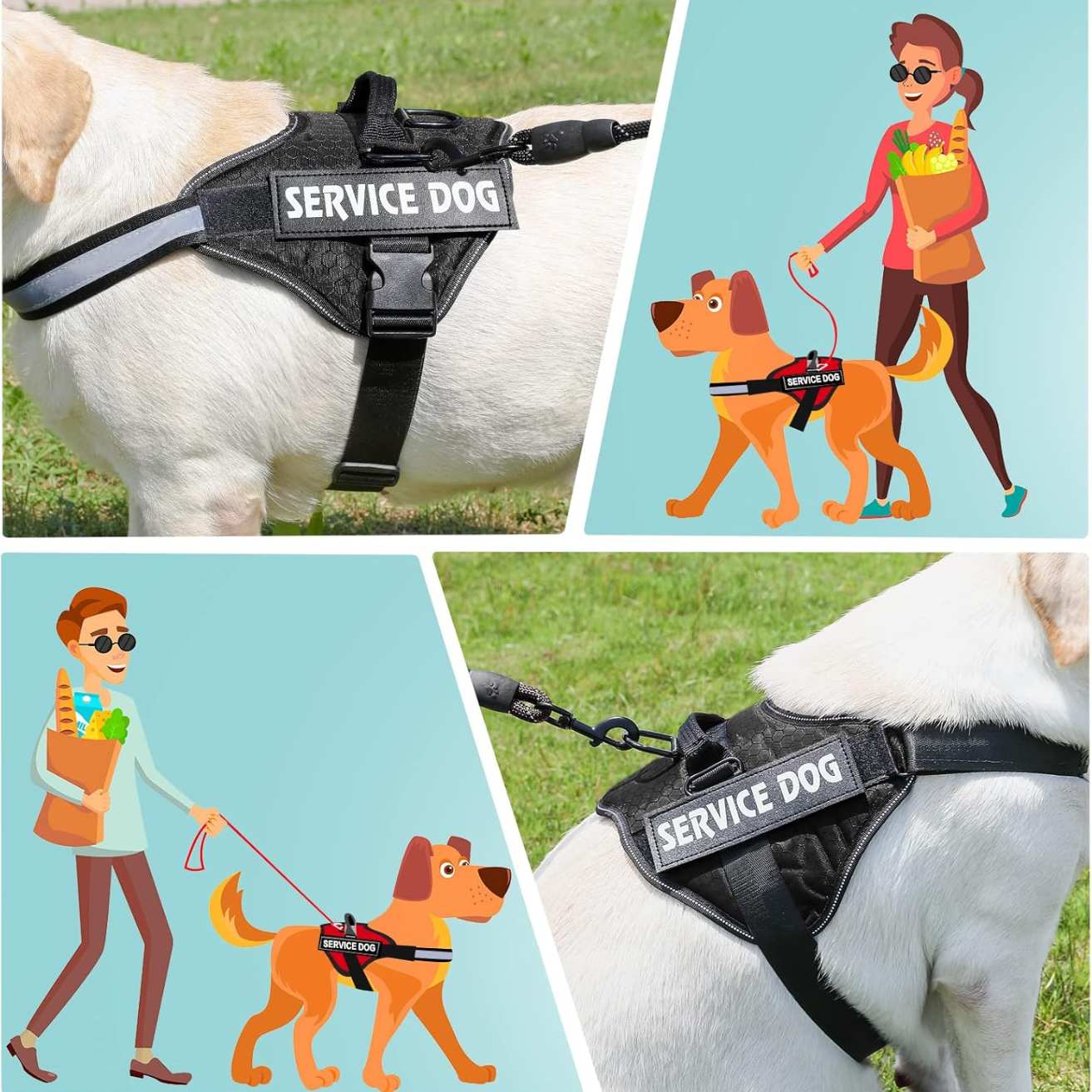 Personalized Reflective Dog Harness | Black