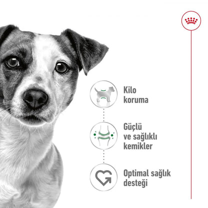 Royal Canin Mini Adult Dog Dry Food | Digestive Health & Daily Nutrition for Small Breed Dogs