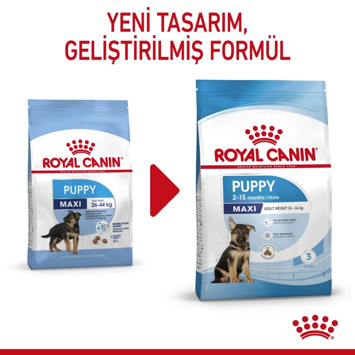 Royal Canin Maxi Puppy Dry Dog Food | Large Breed Growth & Digestive Care