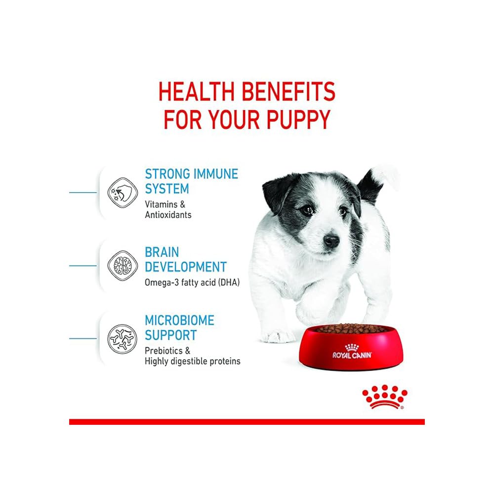 Royal Canin Mini Puppy Dry Dog Food | Immune & Digestive Support