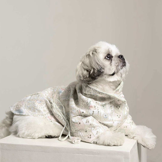 Festival Joy Designer Kurta for Dogs – Stylish Ethnic Outfit for Pets