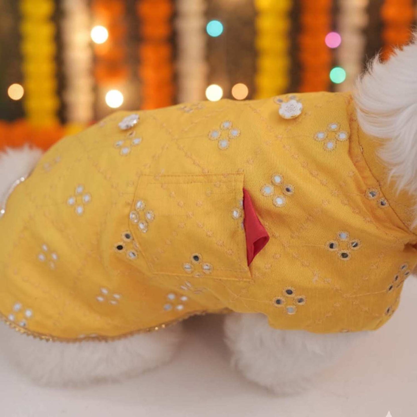 Sunshine Smiles Kurta for Dogs – Stylish Festive Wear for Pets