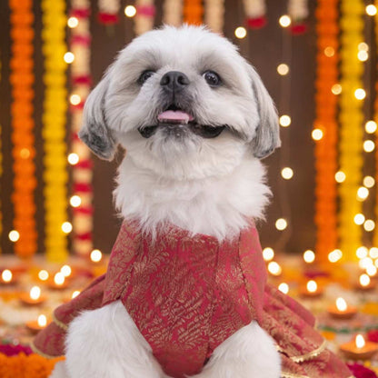 Maharani Pet Lehenga – Royal Designer Ethnic Wear for Dogs