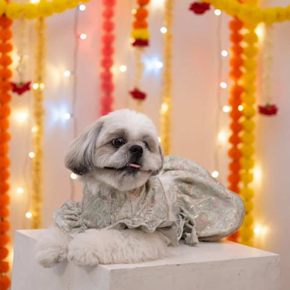 Mint Swirl Designer Lehenga for Dogs – Stylish Festive Outfit for Pets