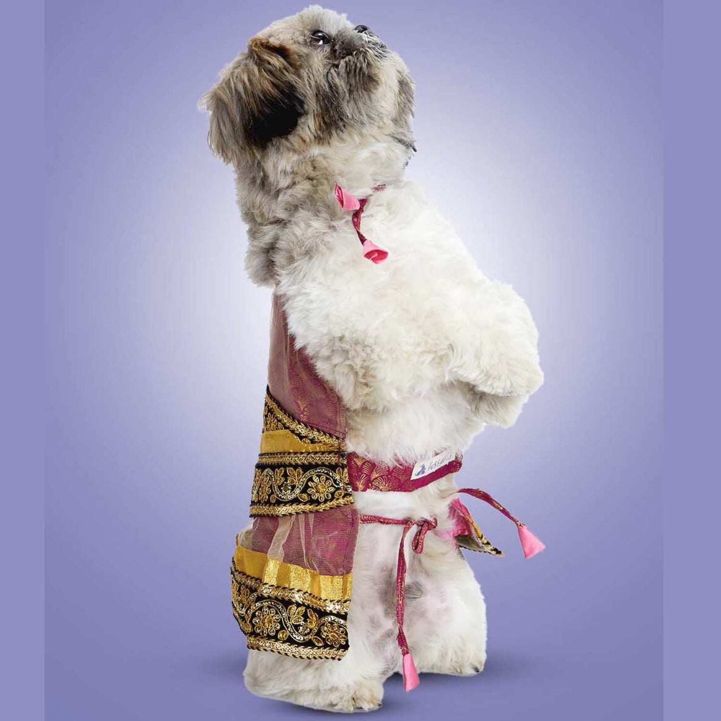 Designer Festive Diva Lehenga – Stylish Traditional Outfit for Dogs