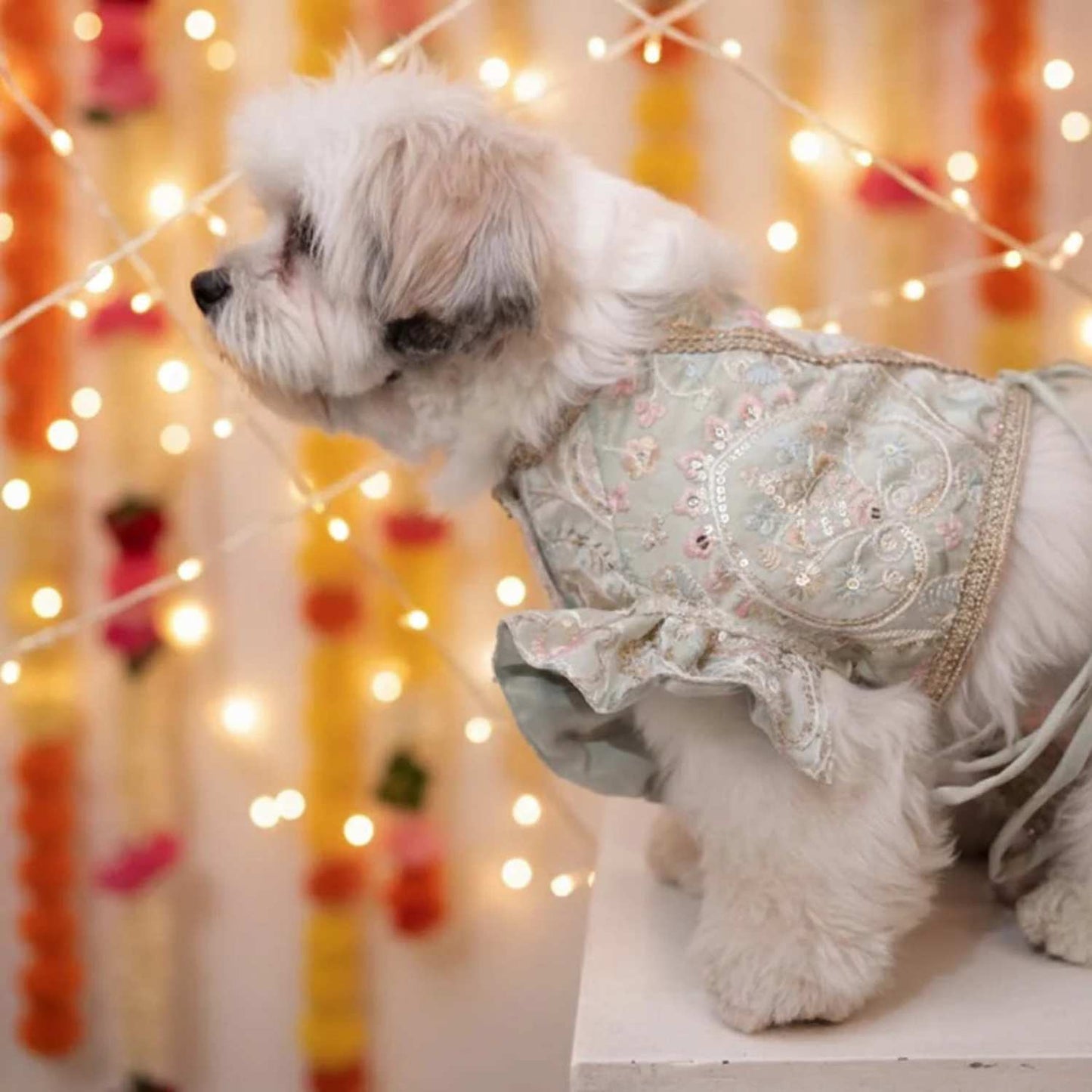 Mint Swirl Designer Lehenga for Dogs – Stylish Festive Outfit for Pets