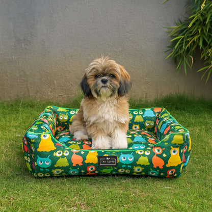 Washable Printed Lounger Bed for Dogs & Cats (Astro Sprout)