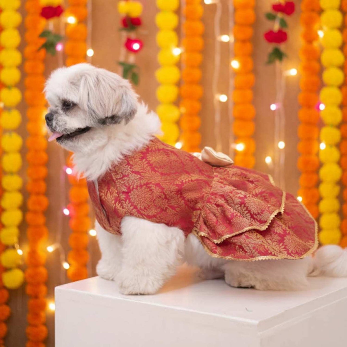 Maharani Pet Lehenga – Royal Designer Ethnic Wear for Dogs