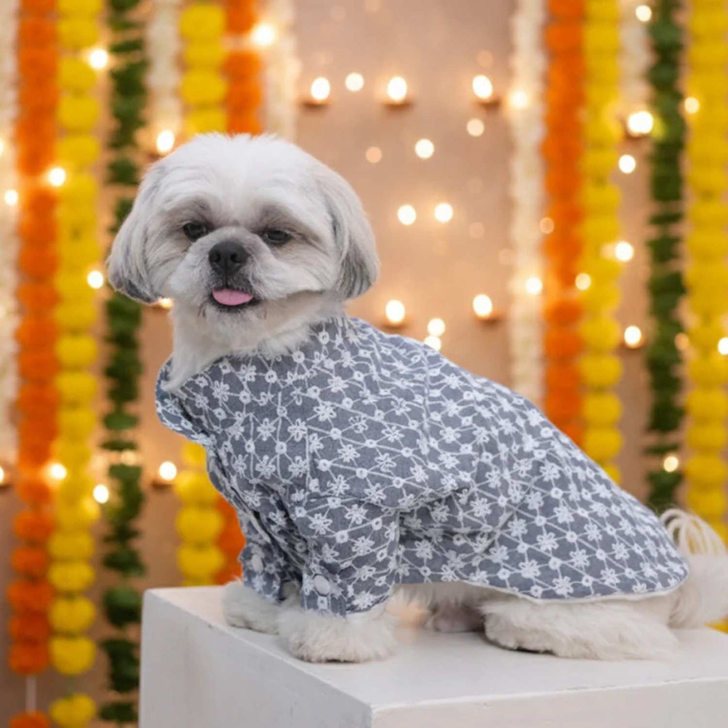 Grey Blossom Dog Kurta (Sleeve) – Designer Ethnic Wear for Dogs