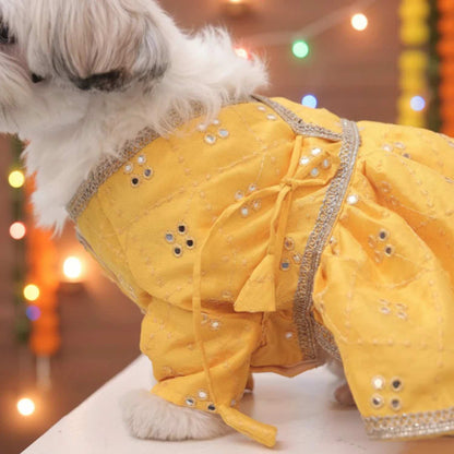 Sunshine Swirl Lehenga for Dog – Festive Pet Wear