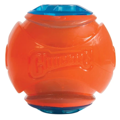 Dog LED Ball