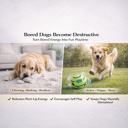 Durable Dog Ball Toy | Squeaky Chew Ball for Puppies & Adult Dogs
