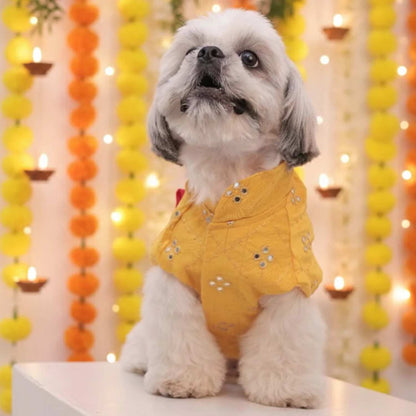 Sunshine Smiles Kurta for Dogs – Stylish Festive Wear for Pets