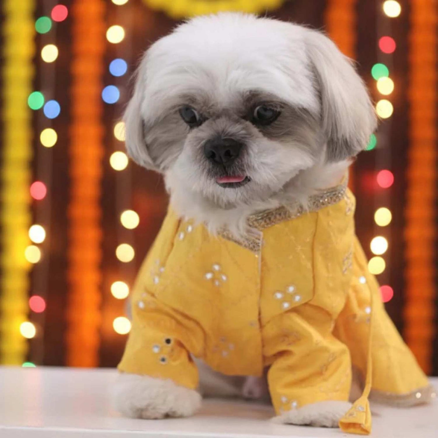 Sunshine Swirl Lehenga for Dog – Festive Pet Wear