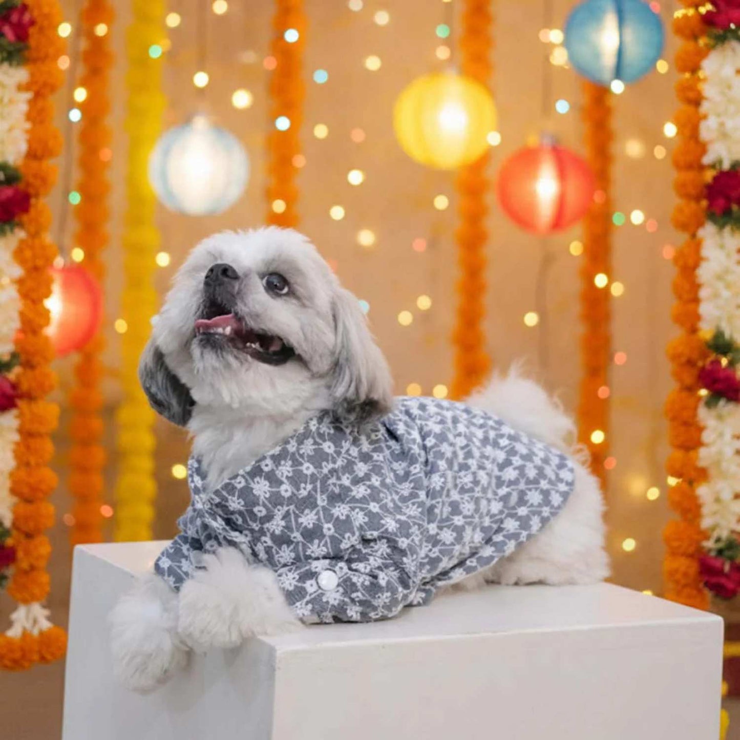 Grey Blossom Dog Kurta (Sleeve) – Designer Ethnic Wear for Dogs
