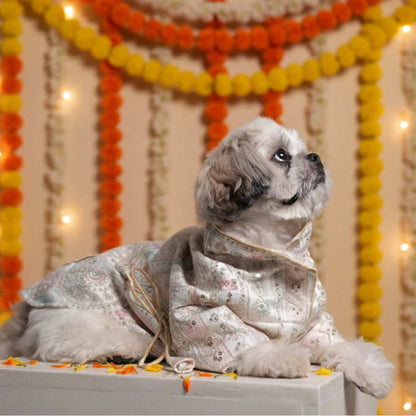 Festival Joy Designer Kurta for Dogs – Stylish Ethnic Outfit for Pets