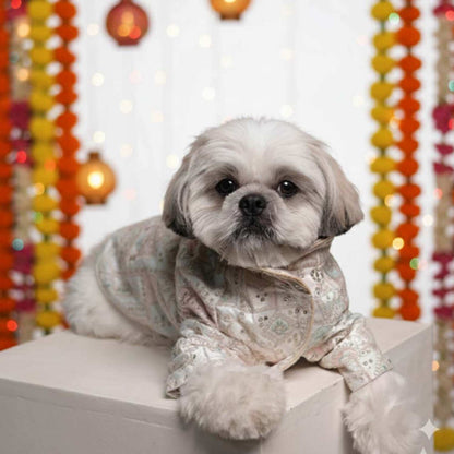 Festival Joy Designer Kurta for Dogs – Stylish Ethnic Outfit for Pets
