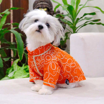 Dog Kurta Combo | Soft Cotton Ethnic Pet Wear | Festive Dog Clothes