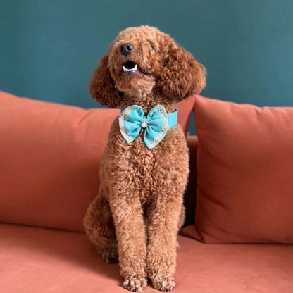 dog festive bow