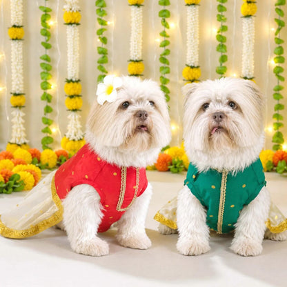dog dress