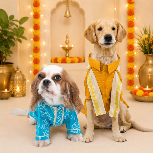 dog kurta set
