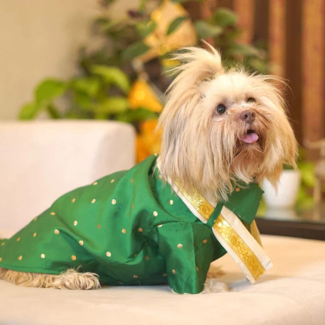 Dog Kurta Combo | Soft Cotton Ethnic Pet Wear | Festive Dog Clothes