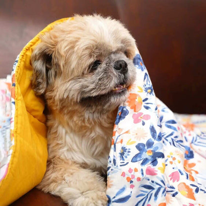 puppy resting blanket