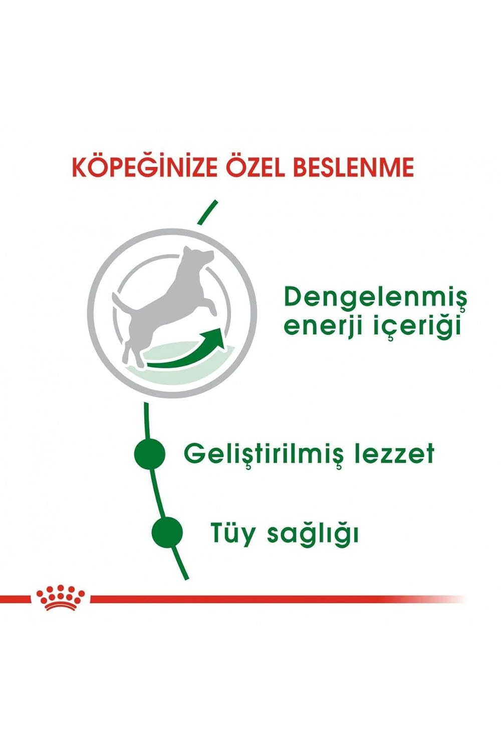 Royal Canin Mini Adult Dog Dry Food | Digestive Health & Daily Nutrition for Small Breed Dogs