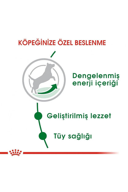 Royal Canin Mini Adult Dog Dry Food | Digestive Health & Daily Nutrition for Small Breed Dogs