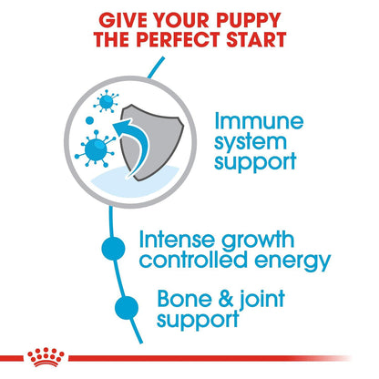 Royal Canin Giant Puppy Dog Food for Large Breed Puppies – Immune Support
