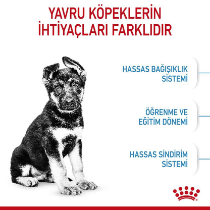 Royal Canin Maxi Puppy Dry Dog Food | Large Breed Growth & Digestive Care