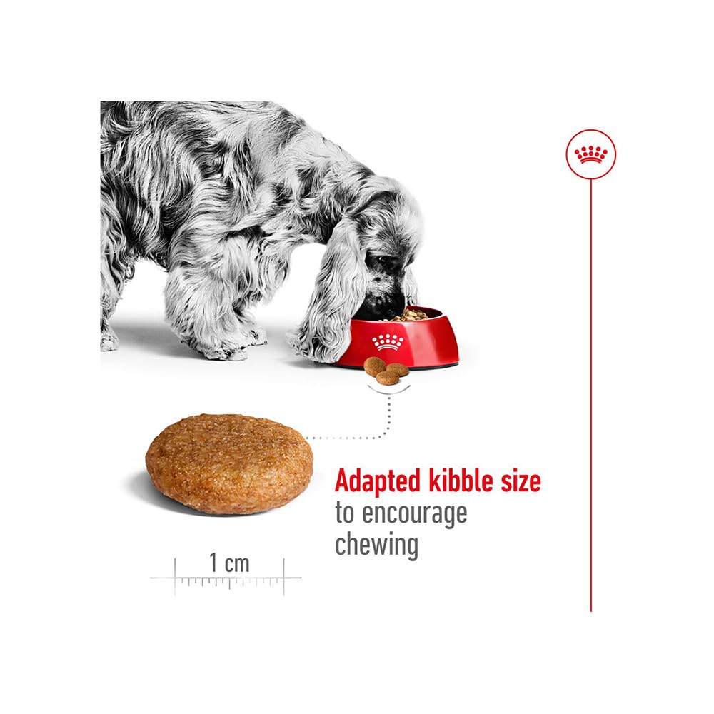 Royal Canin Medium Adult Dog Food | Muscle & Immune Health Support