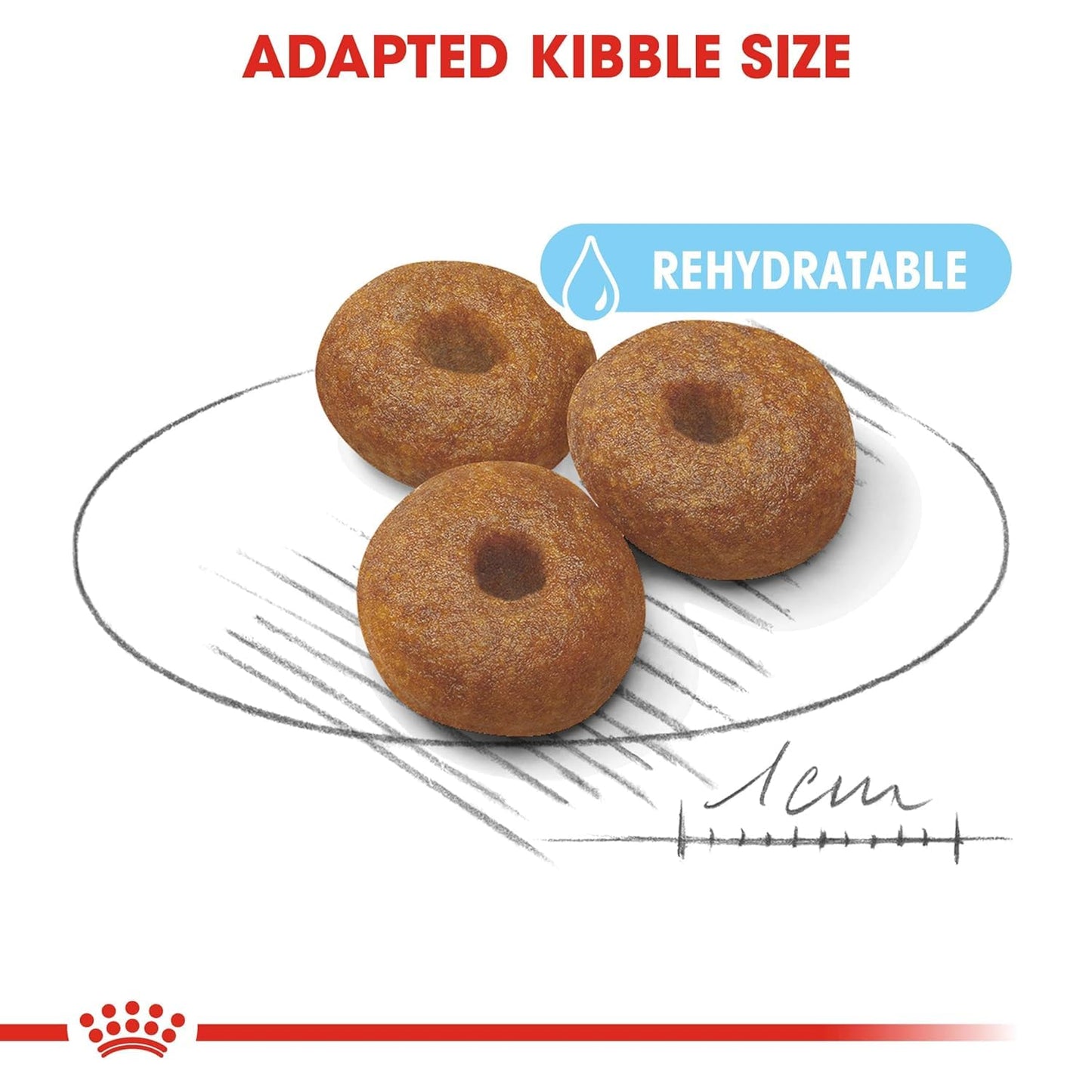 Royal Canin Maxi Starter Mother & Baby Dog Food | Gestation & Digestive Care
