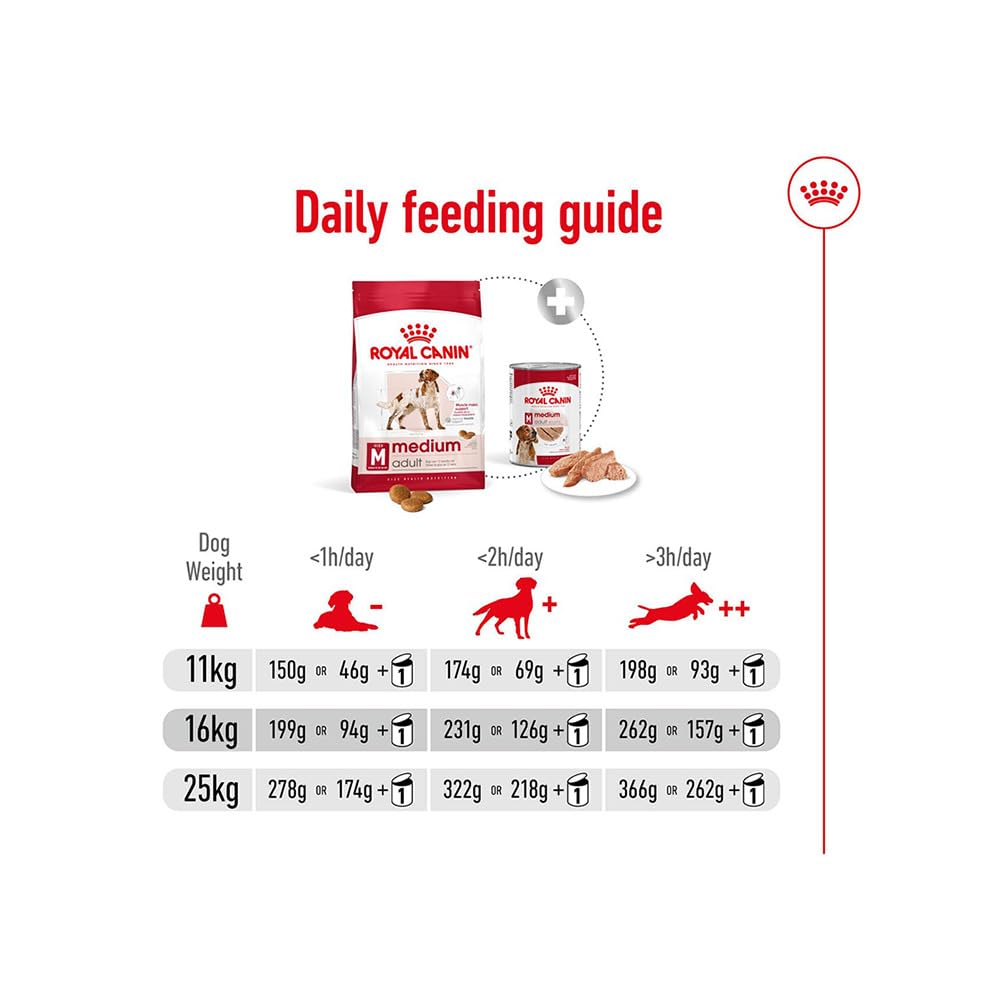 Royal Canin Medium Adult Dog Food | Muscle & Immune Health Support