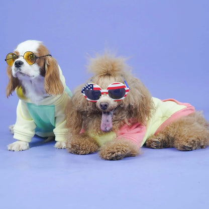 Dog Sweatshirt | Dog Stylish Wear for Winter and Cold Weather