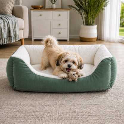 Green Comfort Pet Bed | Soft, Machine Washable & Anti-Skid Base