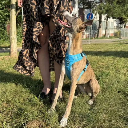 HANK 3M Reflective No Pull Dog Harness | Light Blue Grey Large