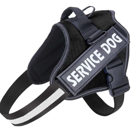 Personalized Reflective Dog Harness | Black