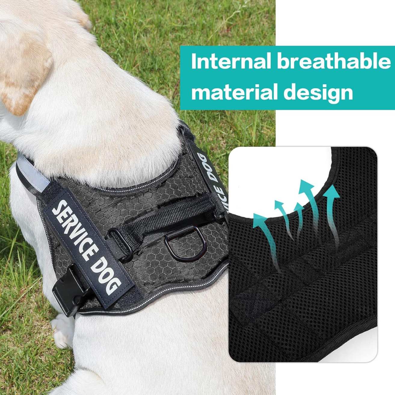 Personalized Reflective Dog Harness | Black