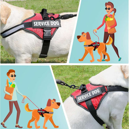Personalized Reflective Dog Harness | Red