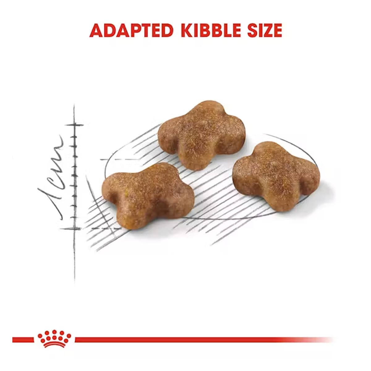 Royal Canin Kitten Dry Cat Food 4Kg | Immune & Digestive Support