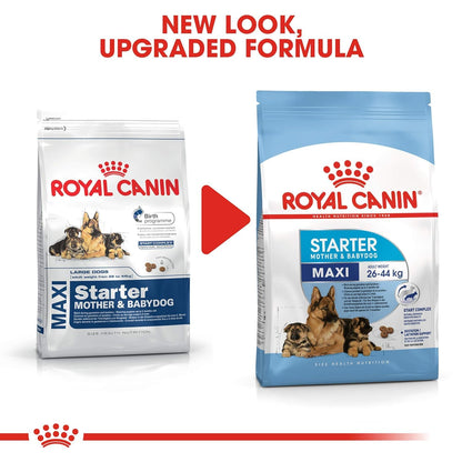 Royal Canin Maxi Starter Mother & Baby Dog Food | Gestation & Digestive Care