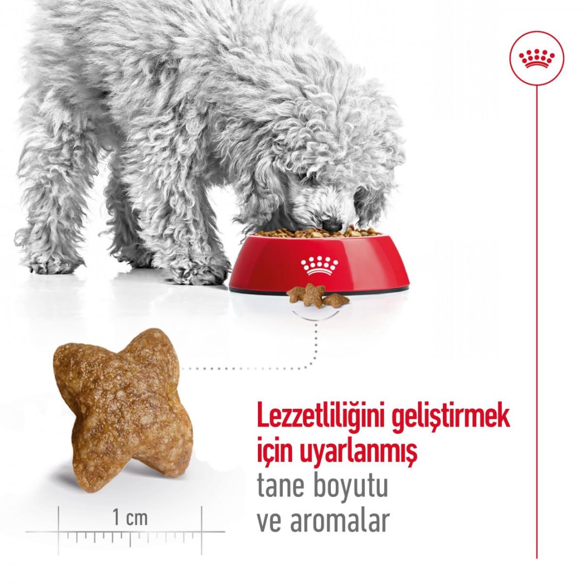 Royal Canin Mini Adult Dog Dry Food | Digestive Health & Daily Nutrition for Small Breed Dogs