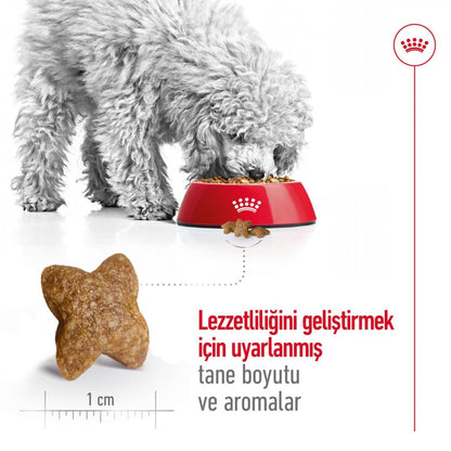 Royal Canin Mini Adult Dog Dry Food | Digestive Health & Daily Nutrition for Small Breed Dogs