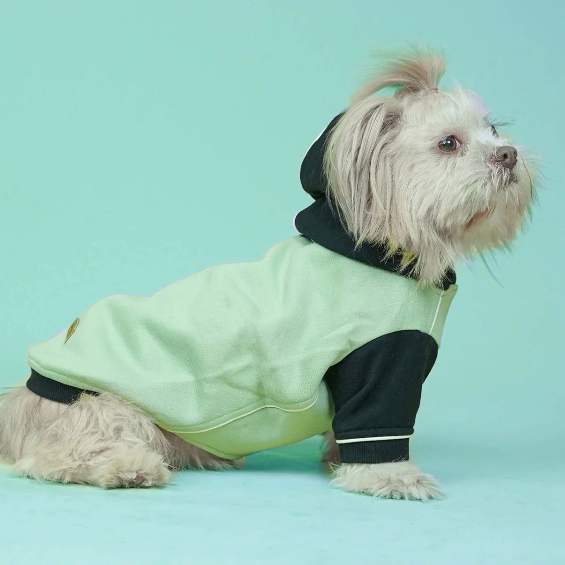 Dog Sweatshirt | Dog Winter Were with Hood and Fleece