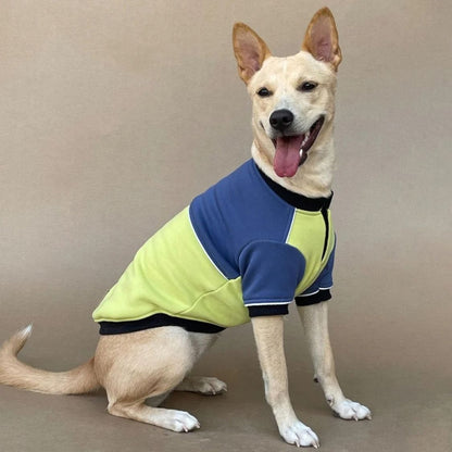 Dog Sweatshirt | Dog Winter Wear with Stretchable Cotton Fleece